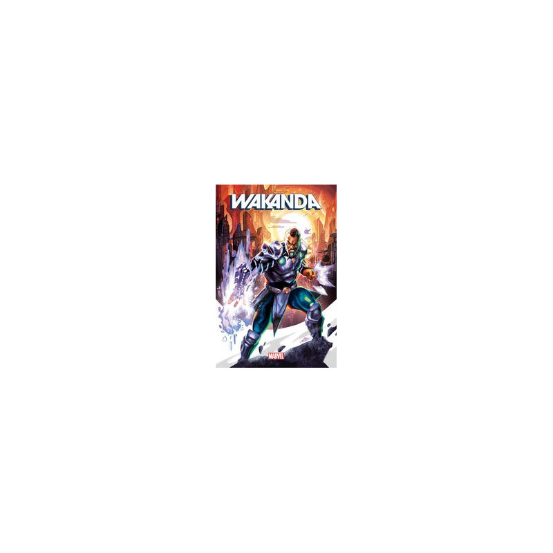 WAKANDA  2