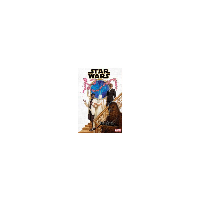 STAR WARS  29