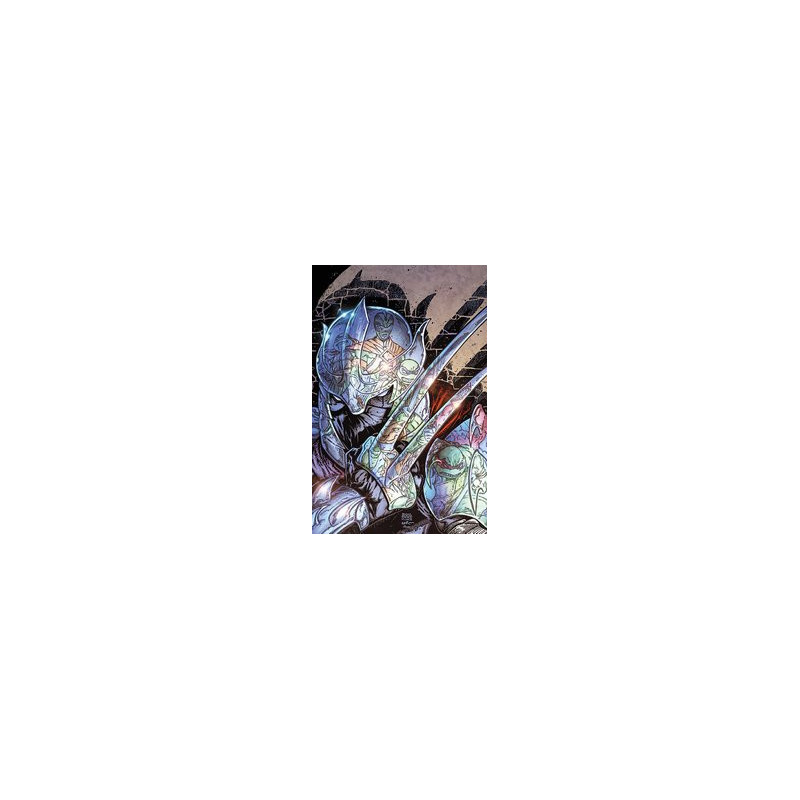 MMPR TMNT II  2 CVR B EASTMAN   WILLIAMS II