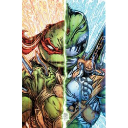 MMPR TMNT II  3 CVR B EASTMAN   WILLIAMS II