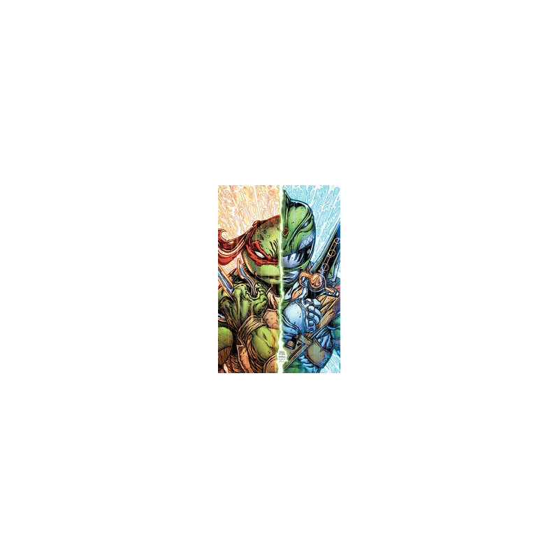 MMPR TMNT II  3 CVR B EASTMAN   WILLIAMS II