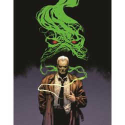 SWAMP THING GREEN HELL  2  OF 3  CVR A DOUG MAHNKE  MR 