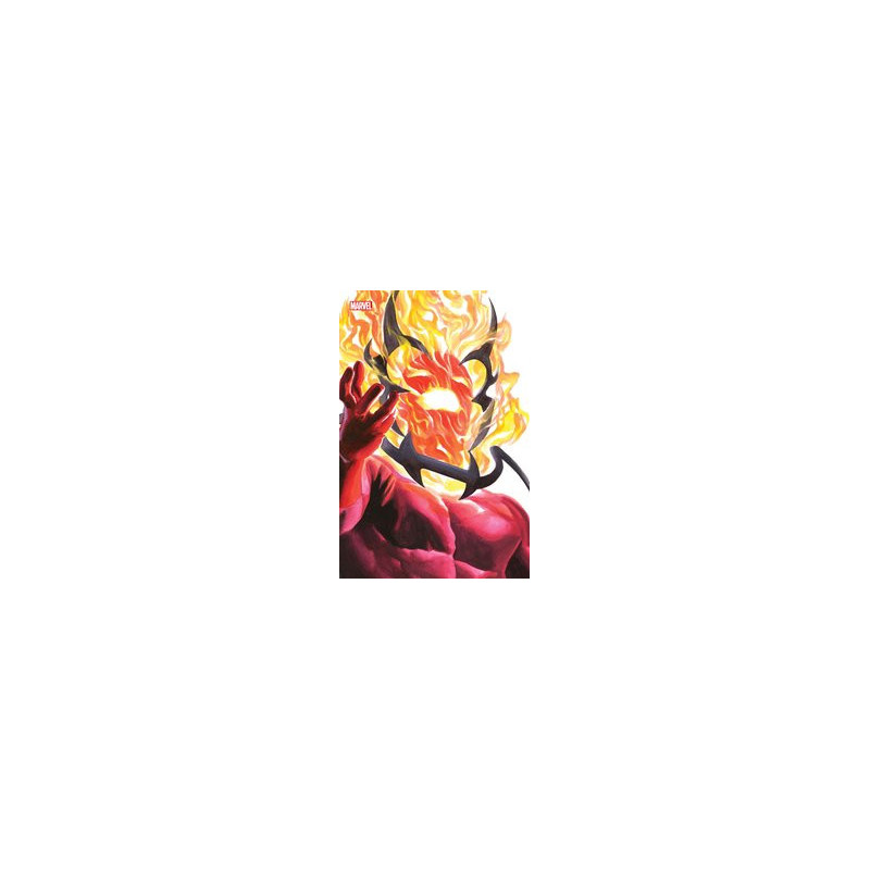 DOCTOR STRANGE  1 ALEX ROSS TIMELESS DORMAMMU VIRGIN VAR