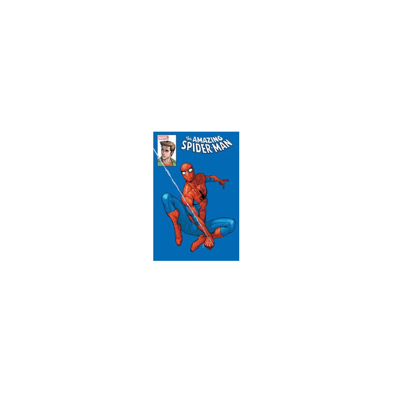 AMAZING SPIDERMAN  22 CASELLI MARVEL ICON VAR