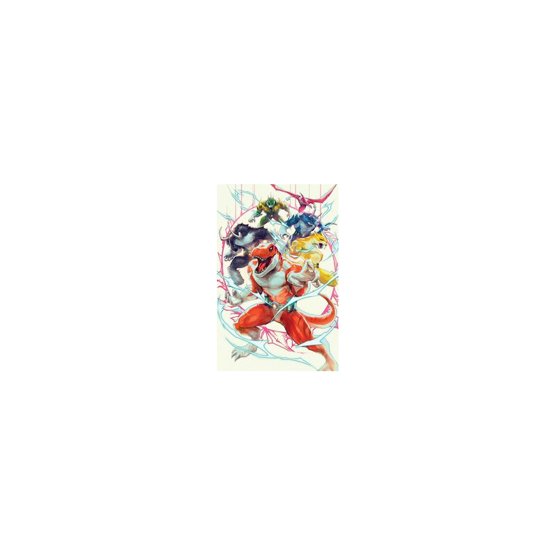 MMPR TMNT II  5 CVR C MMPR VAR TAO