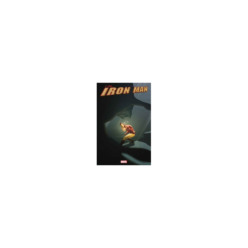 I AM IRON MAN  2