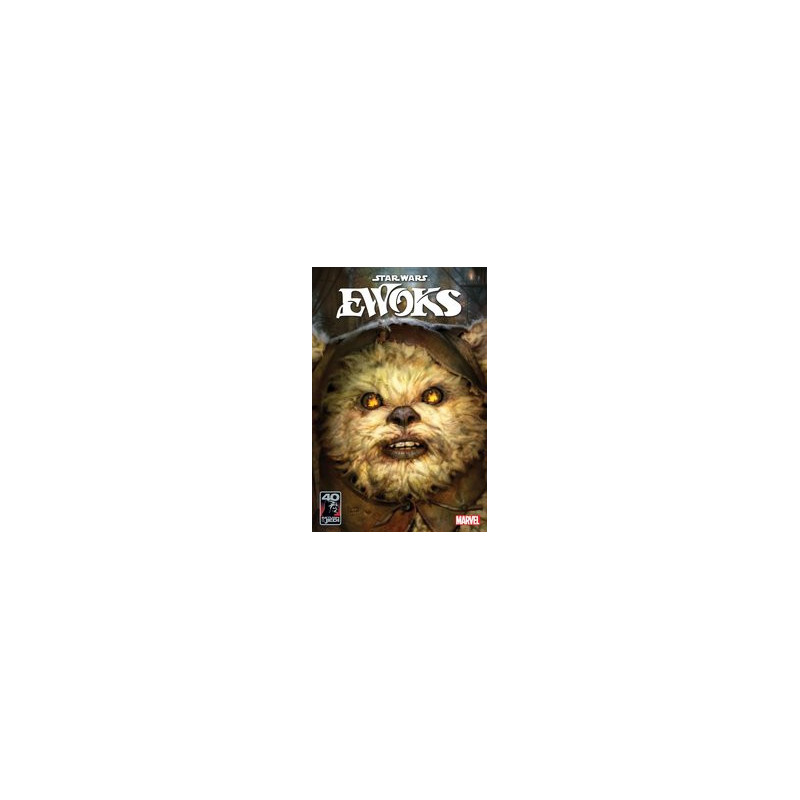 STAR WARS RETURN OF THE JEDI EWOKS  1