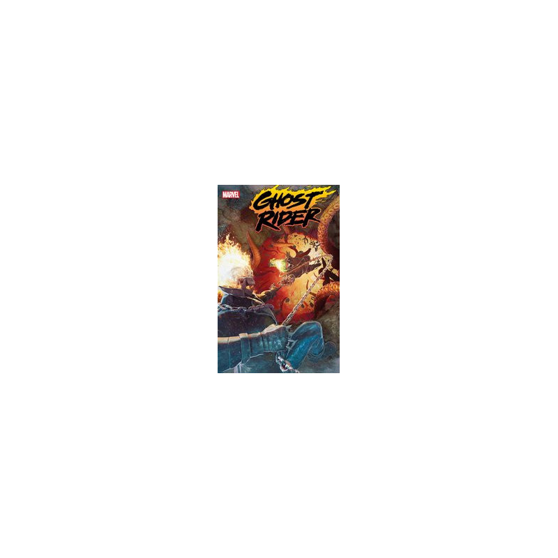 GHOST RIDER  15