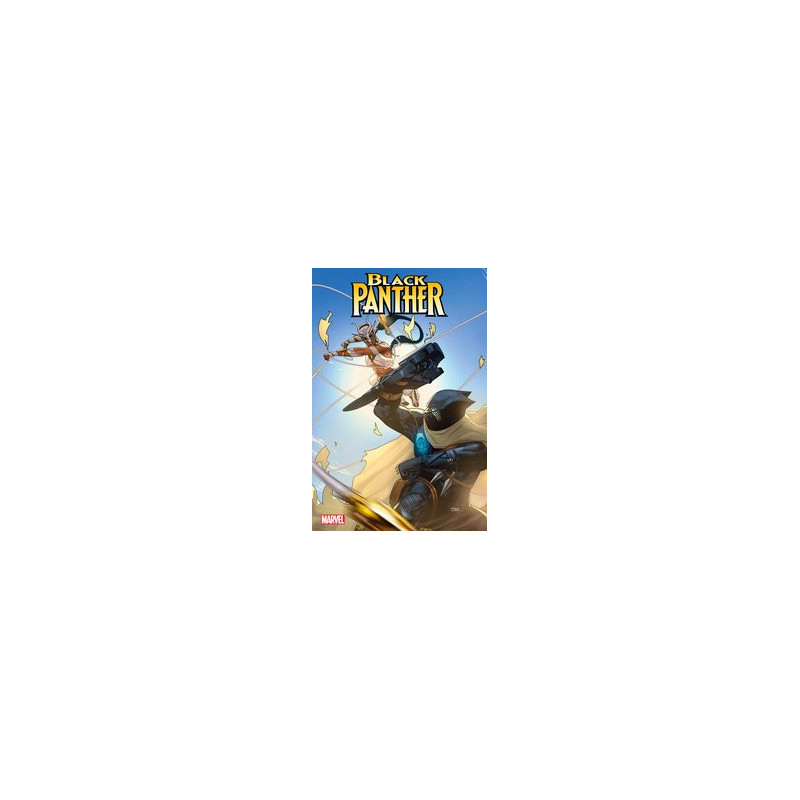 BLACK PANTHER  2