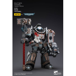 GREY KNIGHTS TERMINATOR CADDON VIBOVA JOYTOY WH 40K ACTION FIGURE 10 C
