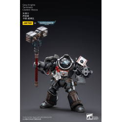 GREY KNIGHTS TERMINATOR CADDON VIBOVA JOYTOY WH 40K ACTION FIGURE 10 C