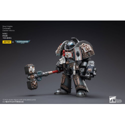 GREY KNIGHTS TERMINATOR CADDON VIBOVA JOYTOY WH 40K ACTION FIGURE 10 C