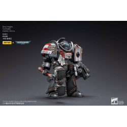 GREY KNIGHTS TERMINATOR CADDON VIBOVA JOYTOY WH 40K ACTION FIGURE 10 C