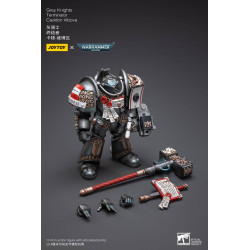 GREY KNIGHTS TERMINATOR CADDON VIBOVA JOYTOY WH 40K ACTION FIGURE 10 C