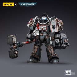 GREY KNIGHTS TERMINATOR CADDON VIBOVA JOYTOY WH 40K ACTION FIGURE 10 C