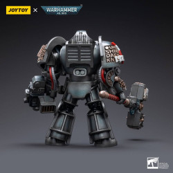 GREY KNIGHTS TERMINATOR CADDON VIBOVA JOYTOY WH 40K ACTION FIGURE 10 C