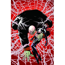 SPIDERISLAND AMAZING SPIDERGIRL 2  OF 3  SPI
