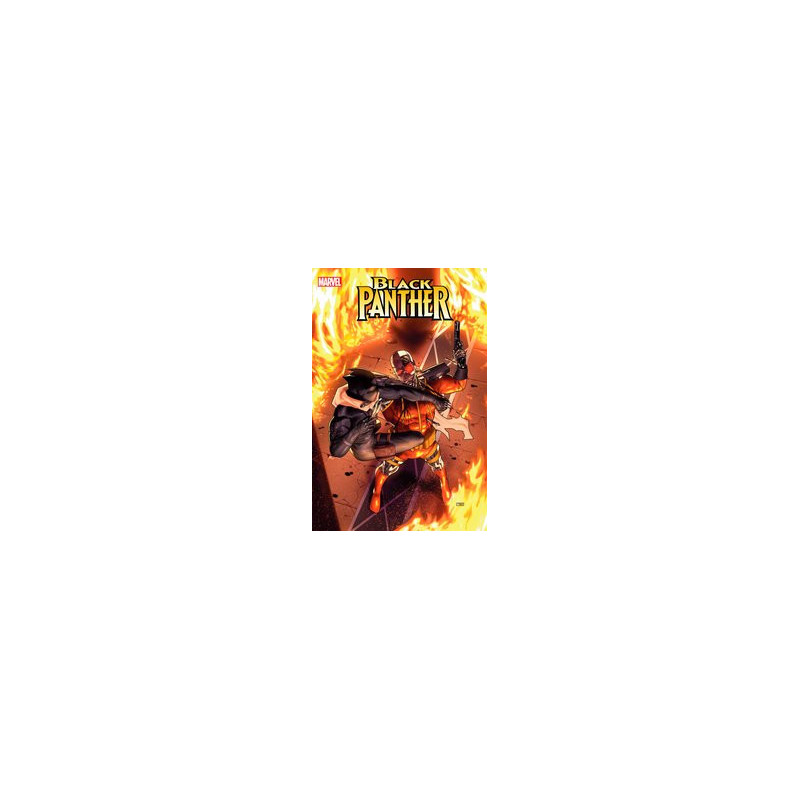 BLACK PANTHER  3
