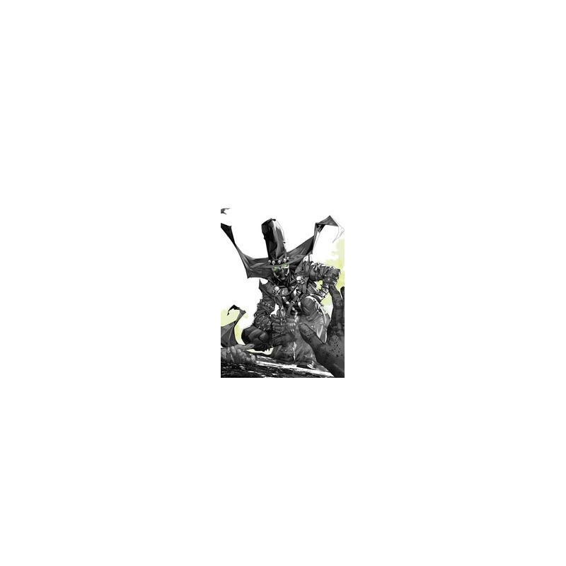 GUNSLINGER SPAWN  24 CVR C NGU
