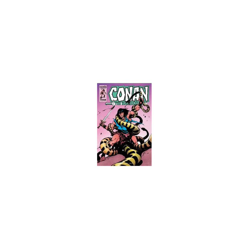 CONAN BARBARIAN  3 CVR D TORRE