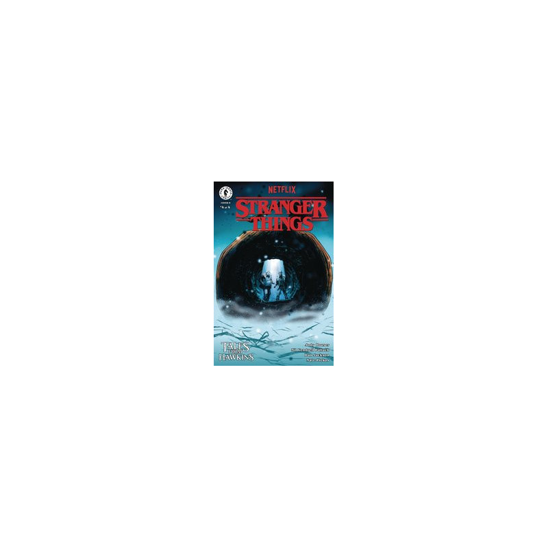 STRANGER THINGS TALES FROM HAWKINS  4 CVR D GORHAM