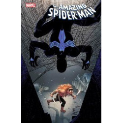 AMAZING SPIDERMAN  33