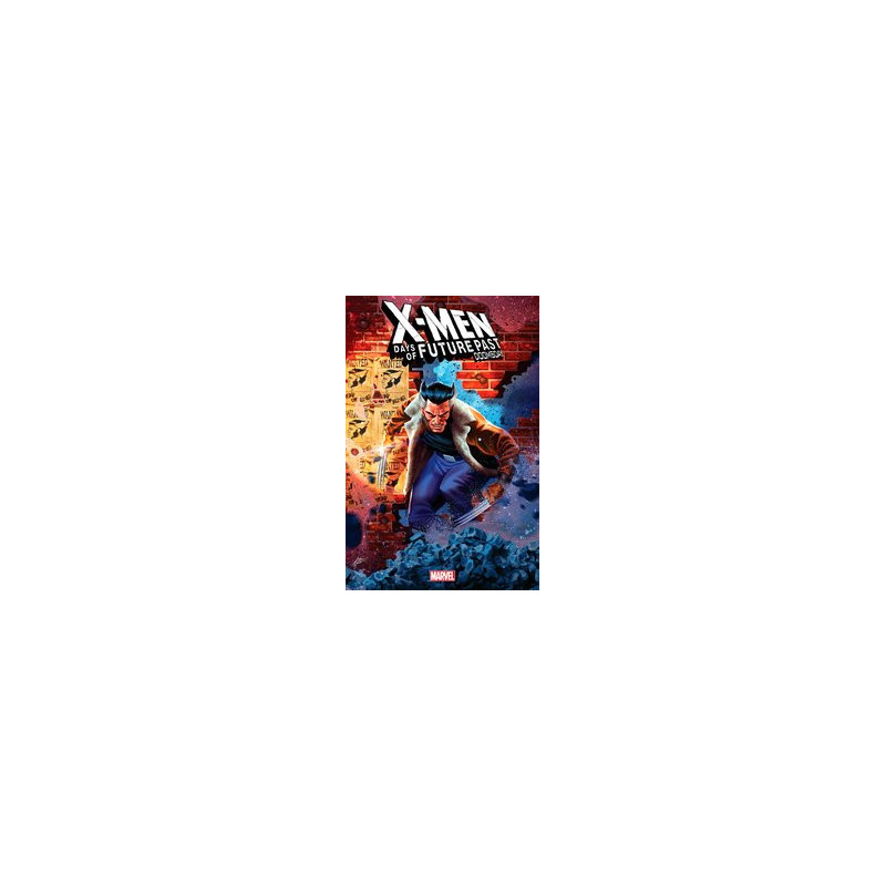 XMEN DAYS OF FUTURE PAST DOOMSDAY  3 MANHANINI VAR
