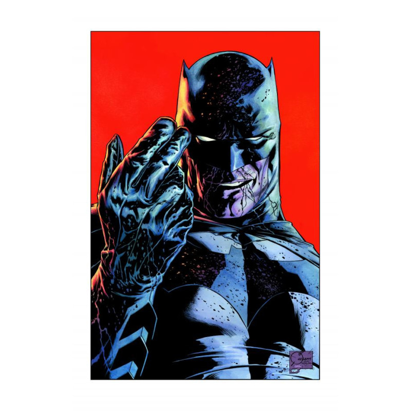 BATMAN CATWOMAN THE GOTHAM WAR BATTLE LINES  1  ONE SHOT  CVR B JOE QU