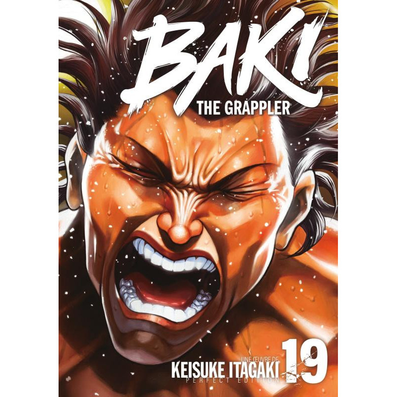 BAKI THE GRAPPLER  TOME 19  PERFECT EDITION