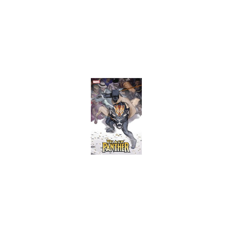 BLACK PANTHER  5