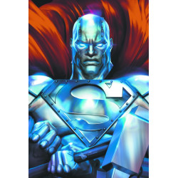 RETURN OF SUPERMAN 30TH ANNIVERSARY SPECIAL  1  ONE SHOT  CVR C DAVE W