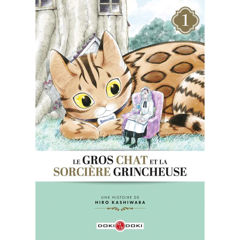 GROS CHAT ET LA SORCIERE GRINCHEUSE  LE   T01  LE GROS CHAT ET LA SORC