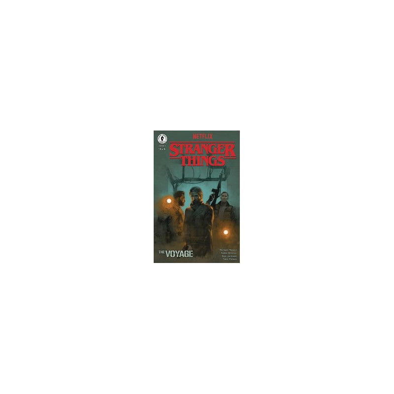 STRANGER THINGS VOYAGE  2 CVR A ASPINALL