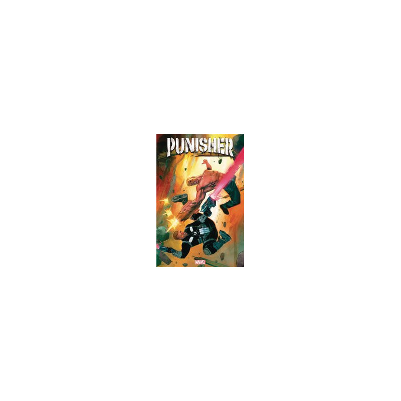 PUNISHER  2