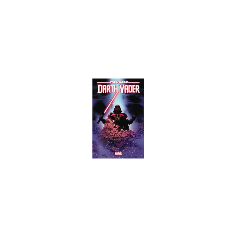 STAR WARS DARTH VADER  41