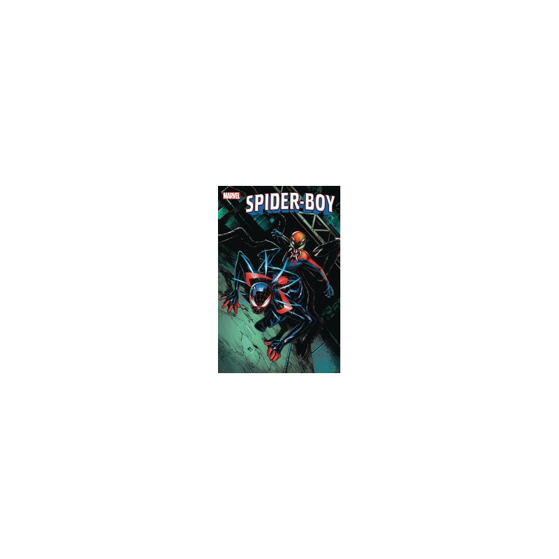 SPIDERBOY  4