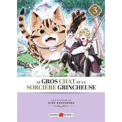 GROS CHAT ET LA SORCIERE GRINCHEUSE  LE   T03  LE GROS CHAT ET LA SORC
