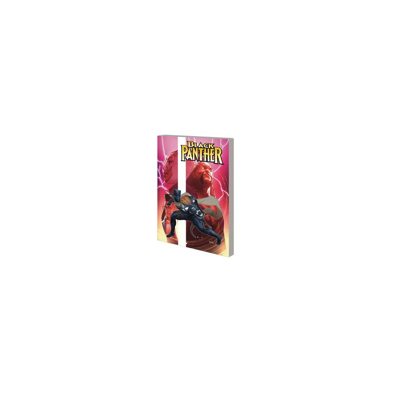 BLACK PANTHER BY EWING TP VOL 2 REIGN AT DUSK