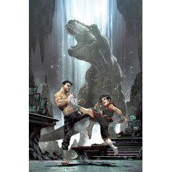 BATMAN AND ROBIN  8 CVR C KAEL NGU CARD STOCK VAR