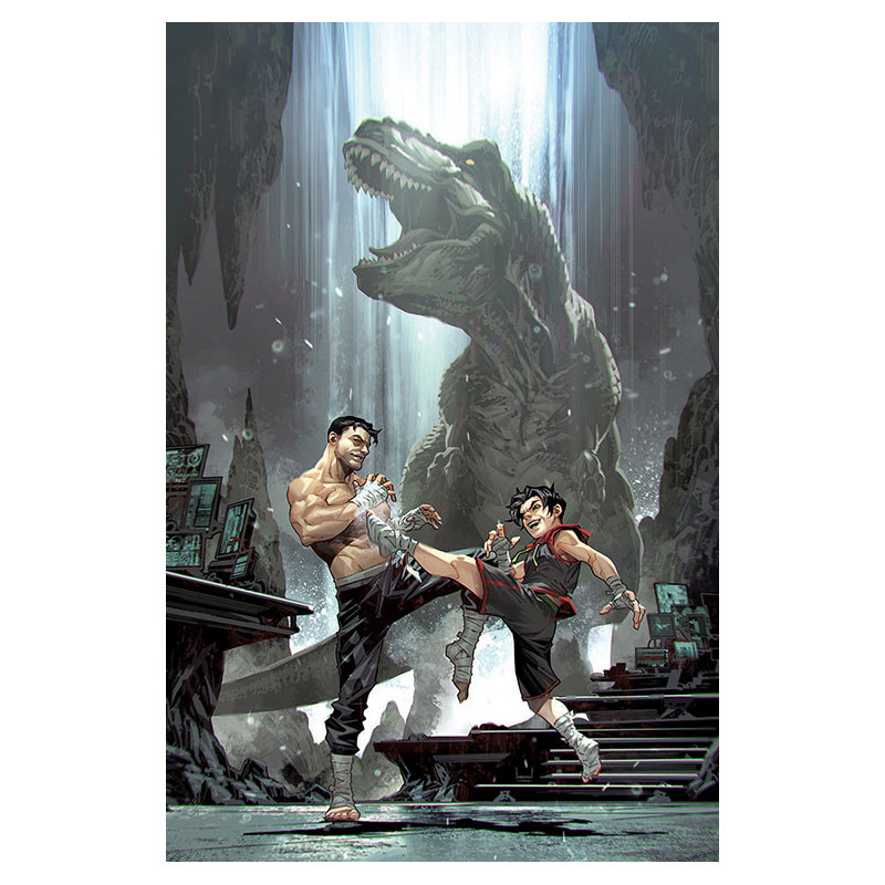 BATMAN AND ROBIN  8 CVR C KAEL NGU CARD STOCK VAR