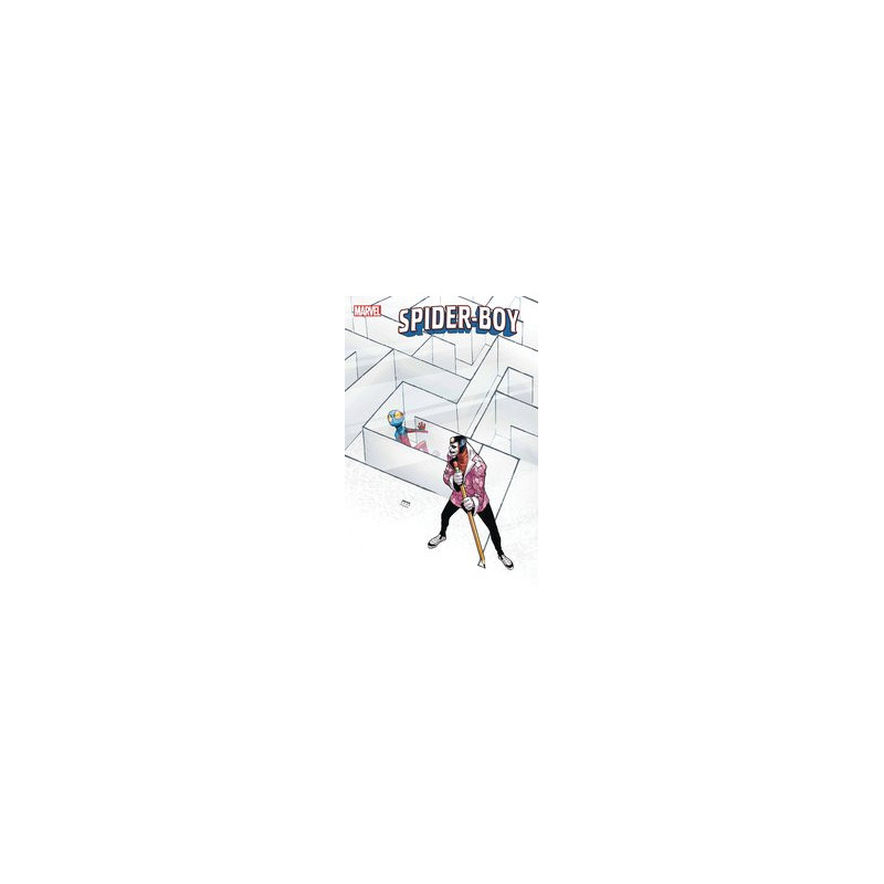 SPIDERBOY  8