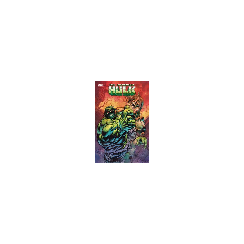 INCREDIBLE HULK  13