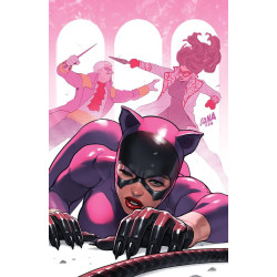 CATWOMAN  66 CVR A DAVID NAKAYAMA