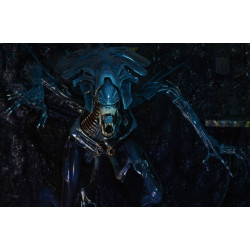 ALIENS FIGURINE ULTRA DELUXE ALIEN QUEEN 38 CM