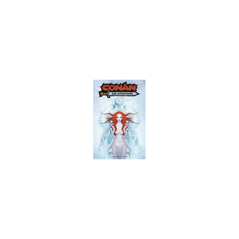 CONAN BARBARIAN  14 CVR A LEE