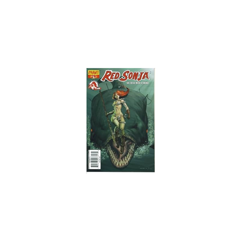 RED SONJA 24 COVER C HOMS