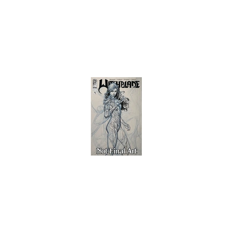 WITCHBLADE  4 CVR B OPENA