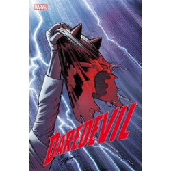 DAREDEVIL  14