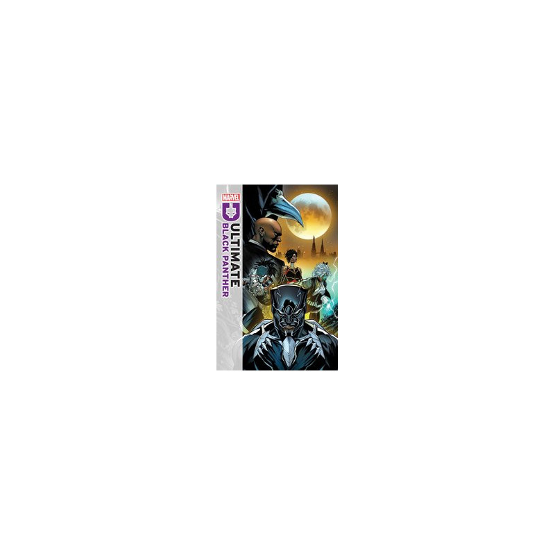 ULTIMATE BLACK PANTHER  10