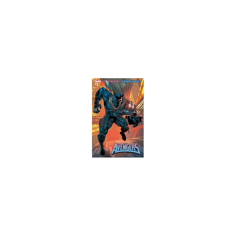 AVENGERS  17 25 COPY INCV SAM DE LA ROSA VAR